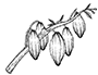 Symbol